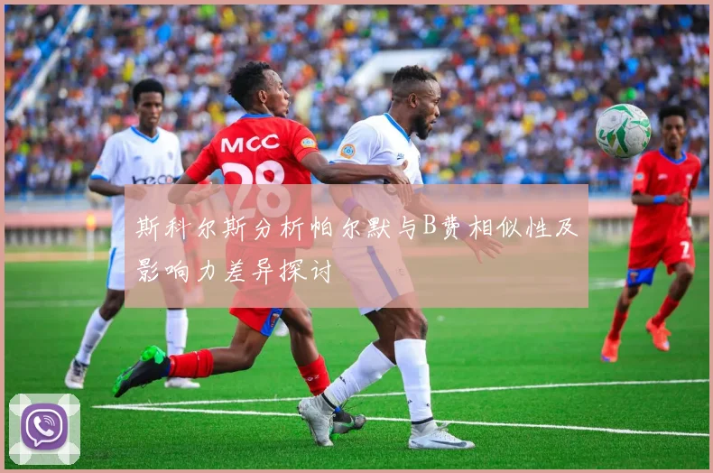 斯科尔斯分析帕尔默与B费相似性及影响力差异探讨